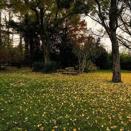 Hotel Le Domaine Du Moulin De Monjous グランディニャン エクステリア 写真