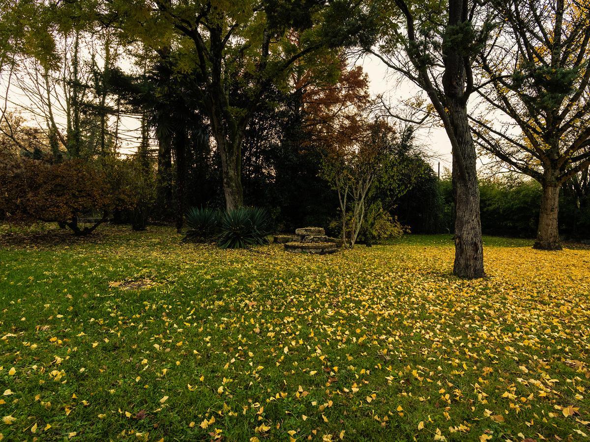 Hotel Le Domaine Du Moulin De Monjous グランディニャン エクステリア 写真